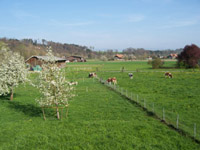 Landwirtschaft